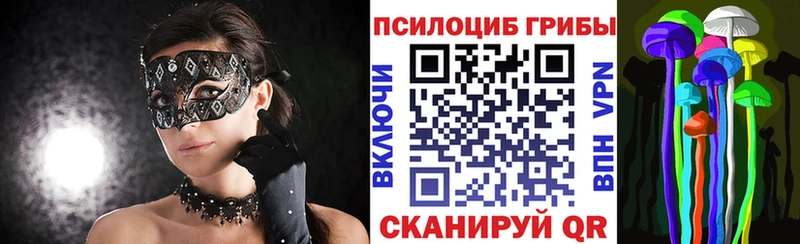 Псилоцибиновые грибы GOLDEN TEACHER Волхов