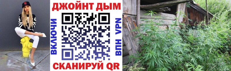 продажа наркотиков  Волхов  Каннабис марихуана 